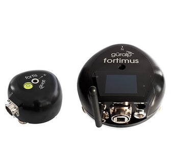 Fortimus