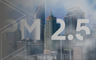 Why PM 2.5 monitoring essential for workplace safety and environmental compliance?