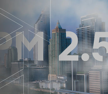 Why PM 2.5 monitoring essential for workplace safety and environmental compliance?